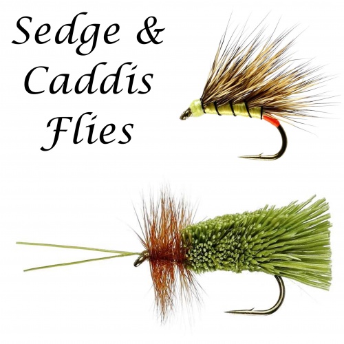Sedge & Caddis Flies